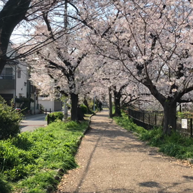 満開の画像