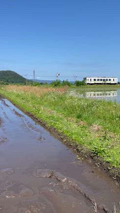 “一田一醸”の酒造り 「会津娘」田植え手伝いへ！の記事動画