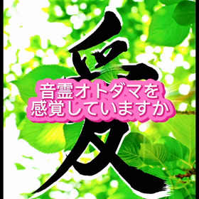 2023/12/07の画像