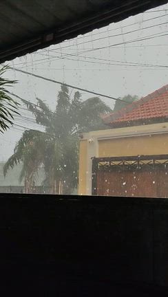 雨季過ぎてちょっと・・・の記事動画