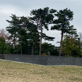 良い声。の画像
