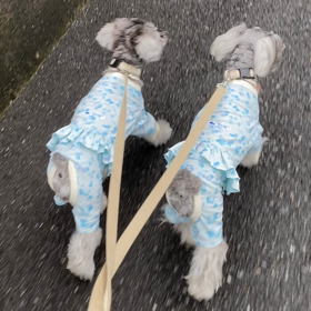 梅雨入り〜の画像