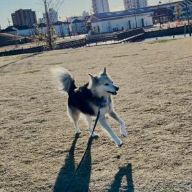 2022.12.18の画像