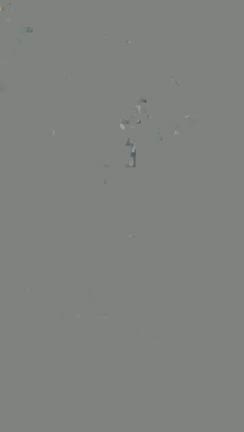 牡蠣の水揚げが始まりましたの記事動画