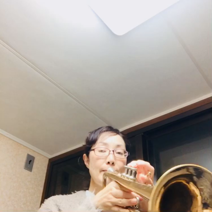 ありがとうの花の記事動画