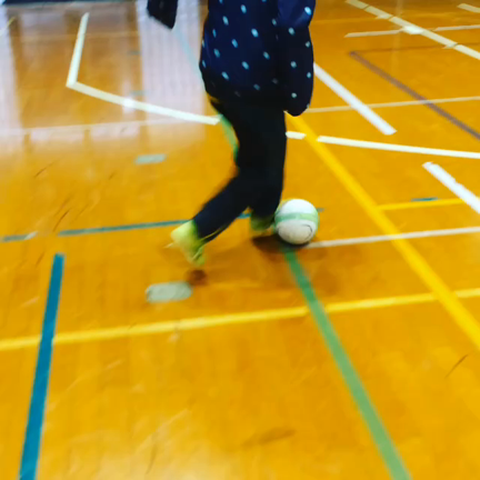 CRIADOR 活動中！の記事動画