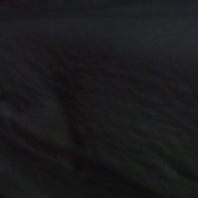 祈願の画像