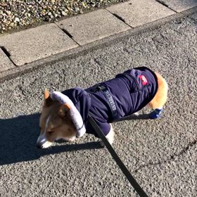 16歳の画像
