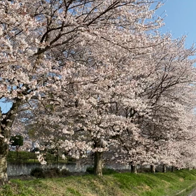 4月1日　新年度スタートの画像