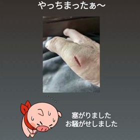 お騒がせの画像
