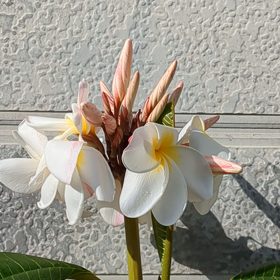 う〜ん？の画像