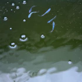 我慢(T . T)の画像