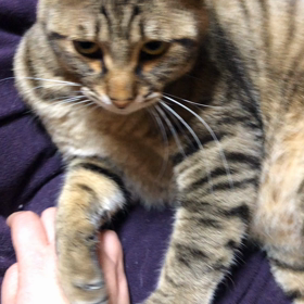 甘え方はそれぞれで相手にもよりけりでの画像