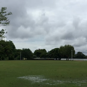 雨上がりは緑が鮮やかの画像