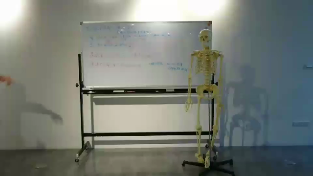 社外秘の海外研修を一部特別にの記事動画