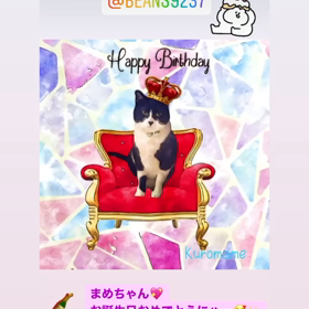 猫行脚18「銀ちゃん」のサムネイル画像