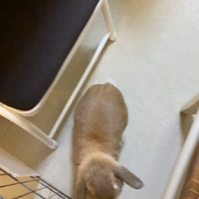 退院しました◆再再感動の再会シーンの画像