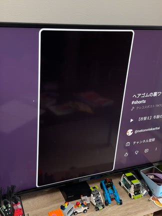 娘の運動会、元義母さんから学ぶこと。の記事動画