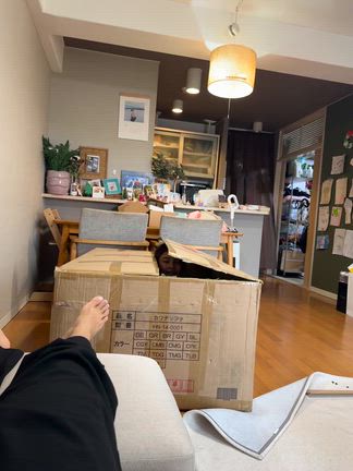 女一人で組み立てられる、3万円のカウチソファ〜まだまだ子供なおてんばな娘を添えて〜の記事動画