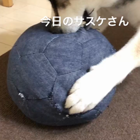 お腹がピーピーの画像