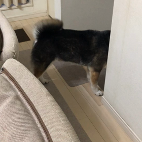 表現のあり方の画像