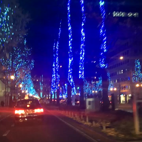 初めまして！クロちゃんです。の画像