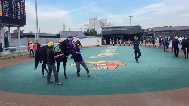 名古屋競馬場へ行きました、その１☆の記事動画