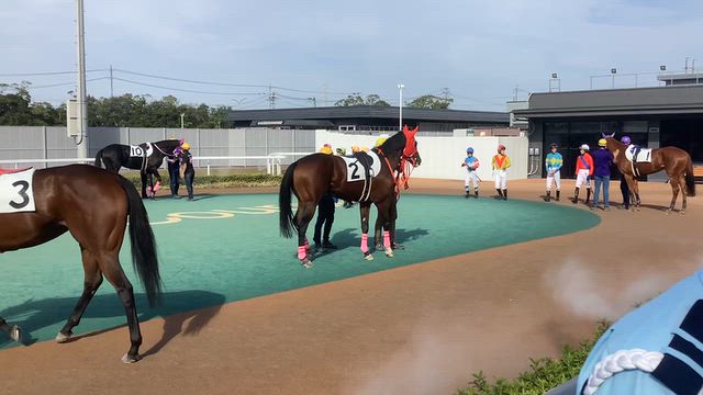 名古屋競馬場へ行きました、その２☆の記事動画