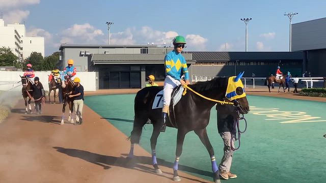 笠松競馬場へ行きました、その４☆の記事動画