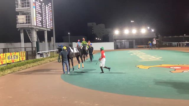 名古屋競馬場へ行きました、その２☆の記事動画