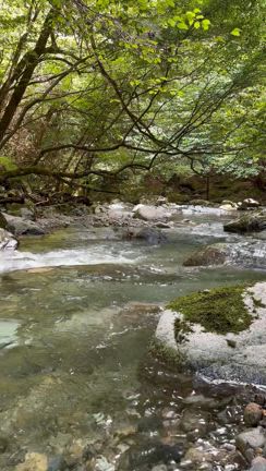 渓谷で五感が癒された最高の夏休みの記事動画