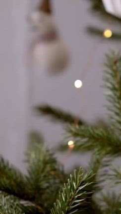 ❅X’masコラボイベント❅の記事動画