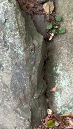 水瓶座満月のメッセージの記事動画