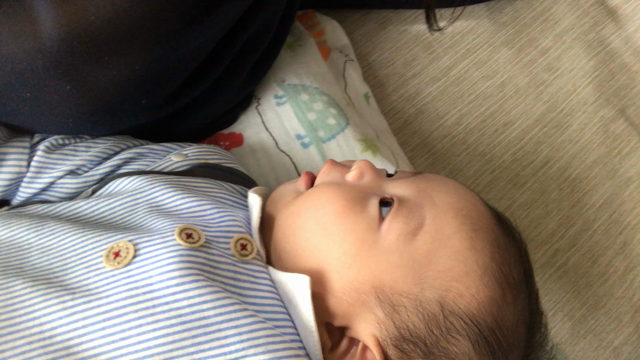 おしゃべりの記事動画