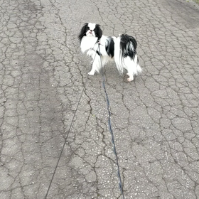 マイペースな子()の画像