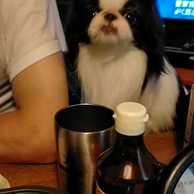 2024/06/20の画像