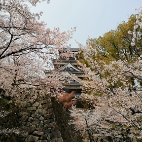 テストの画像