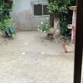 雨☔️の画像