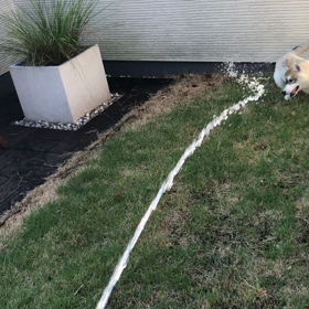 動画に挑戦！の画像