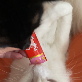 ちゅ〜るの食べ方の画像