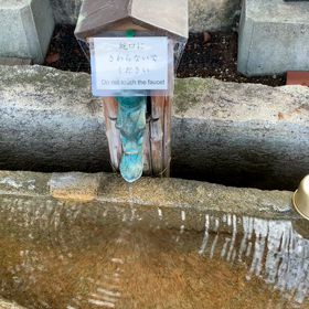 櫻井神社で蝉が鳴くの画像