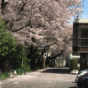 今日の画像