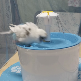 プレゼ  ントの画像