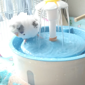 暑い日の画像