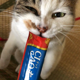 さあ、がんばろの画像