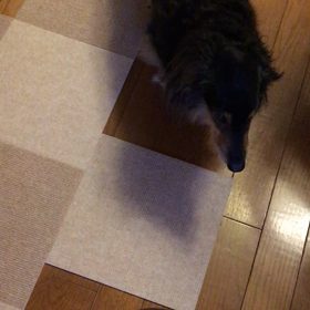 食べることの画像