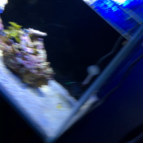 海水復活！の画像