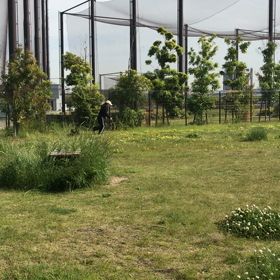 母ちゃんとの画像
