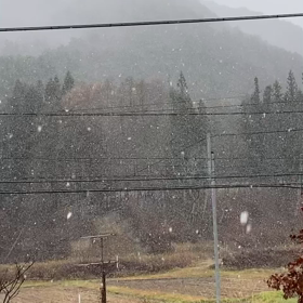 初雪が降り始めましたの画像