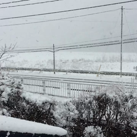 大雪だ〜の画像
